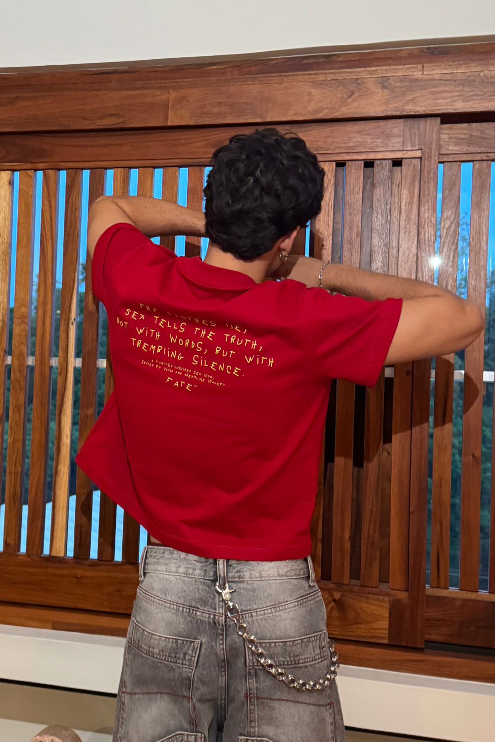 Clothes Lie Crop Tee Red