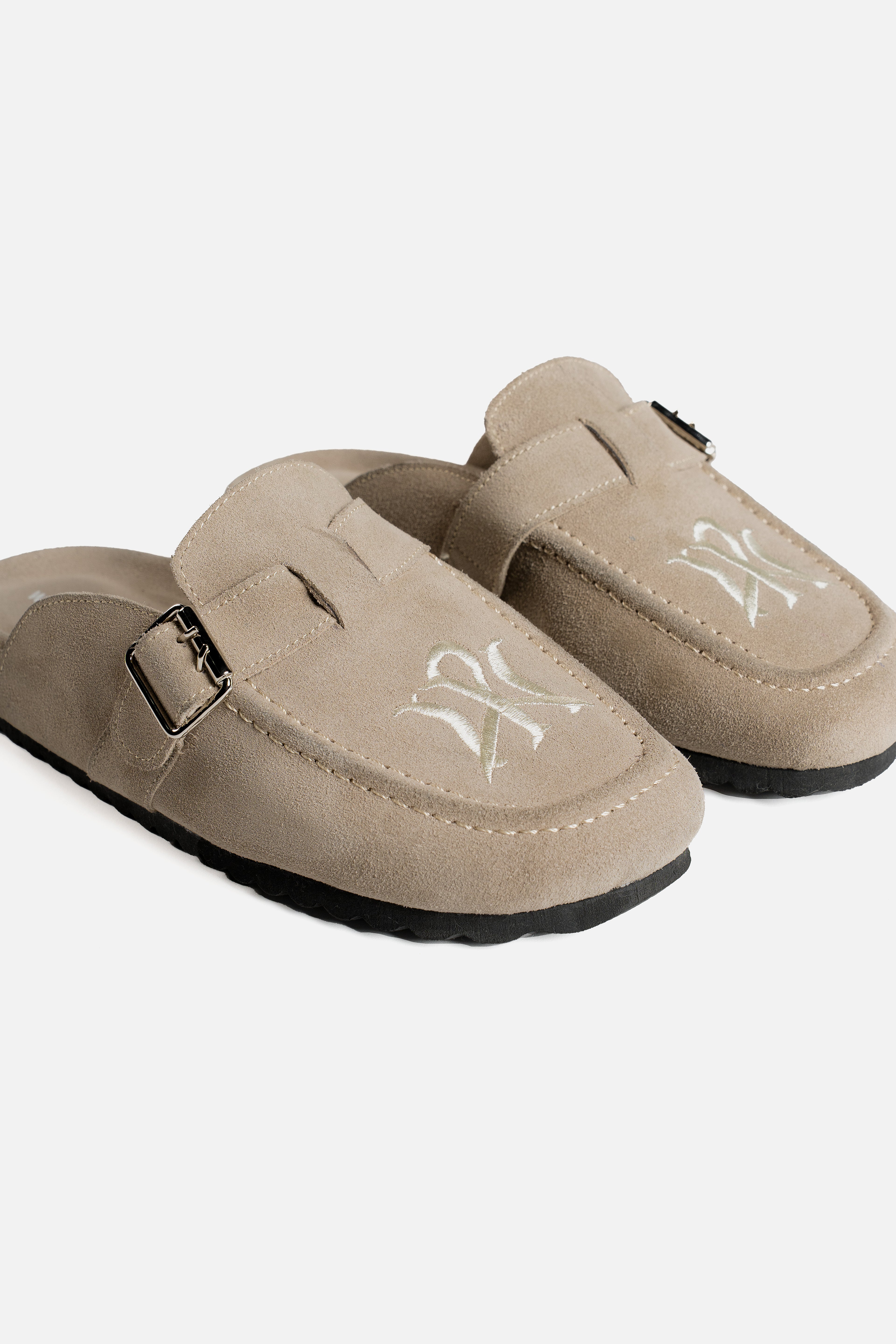 WP Mules Desert