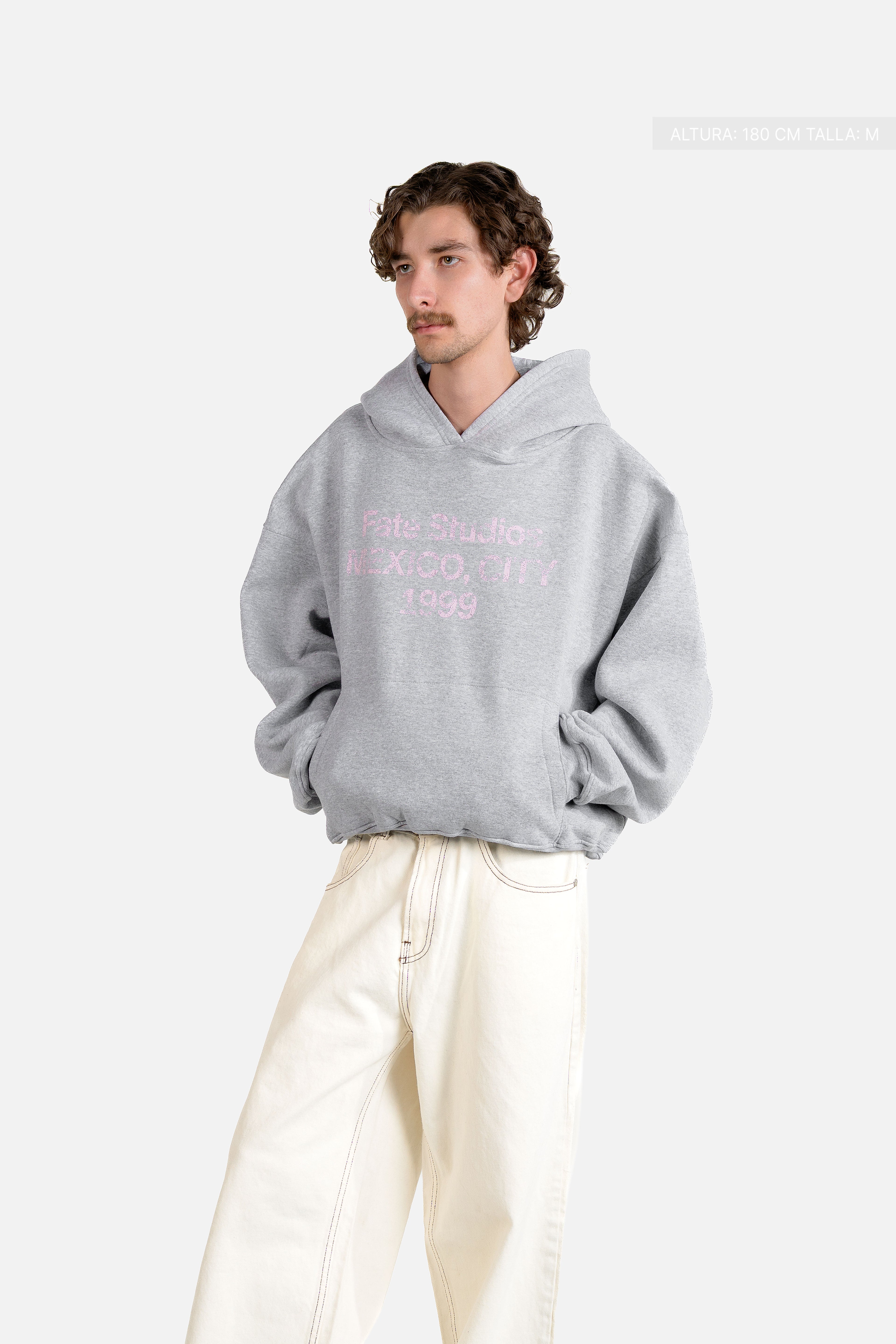 Fate Studios Mexico City 1999 Hoodie Jasper