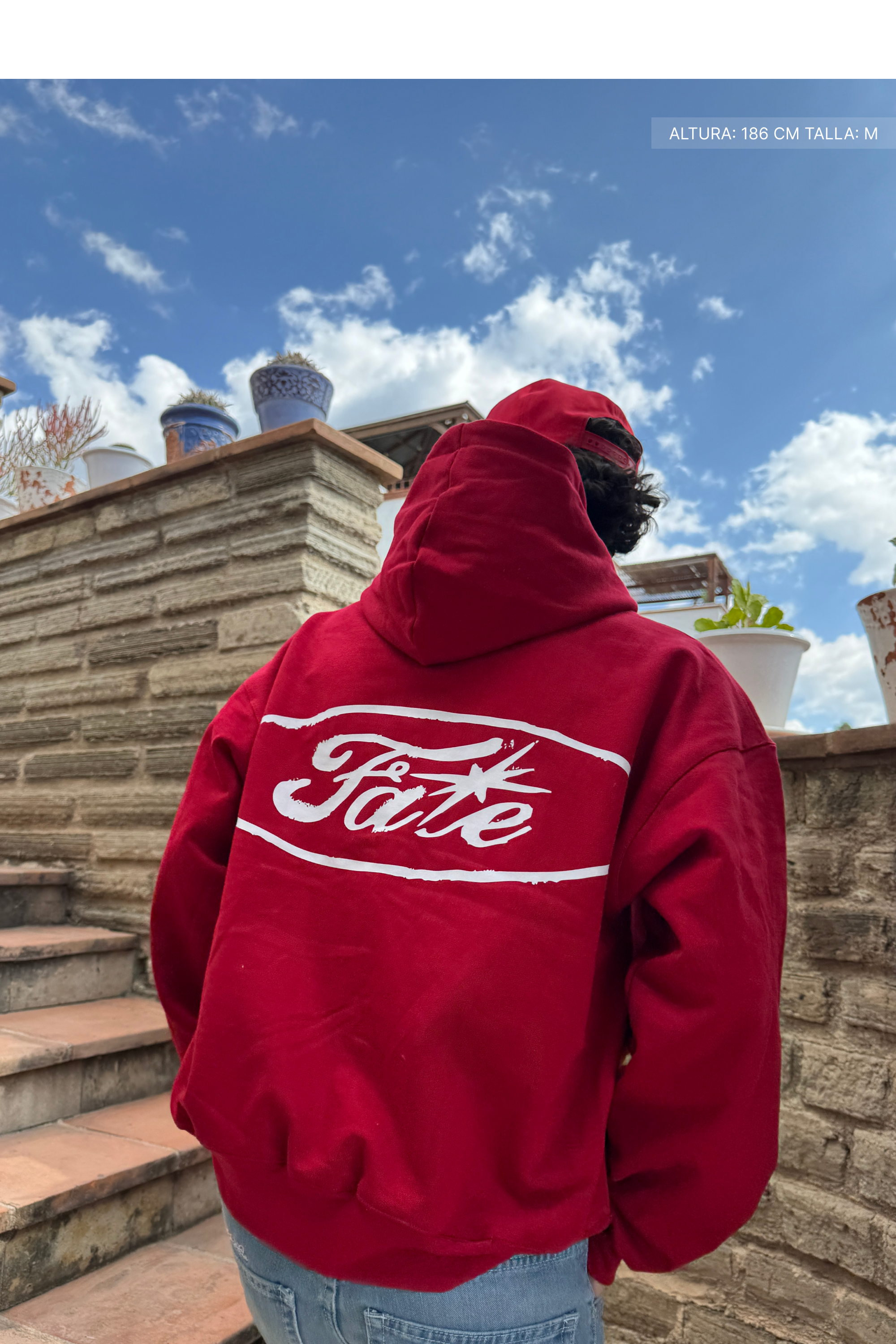 Fate Oval Hoodie Cherry Red