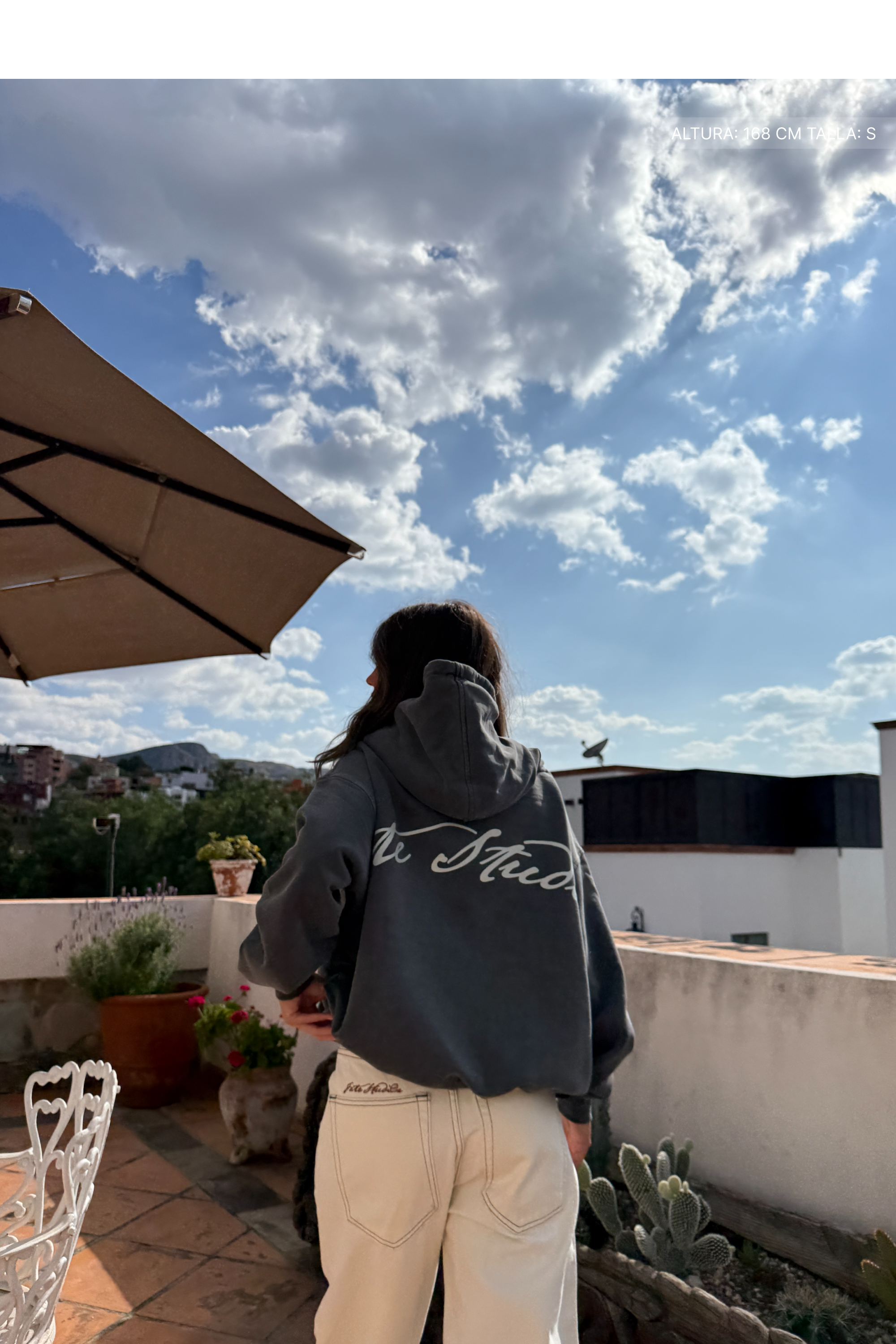 Fate Studios Hoodie Washed Grey