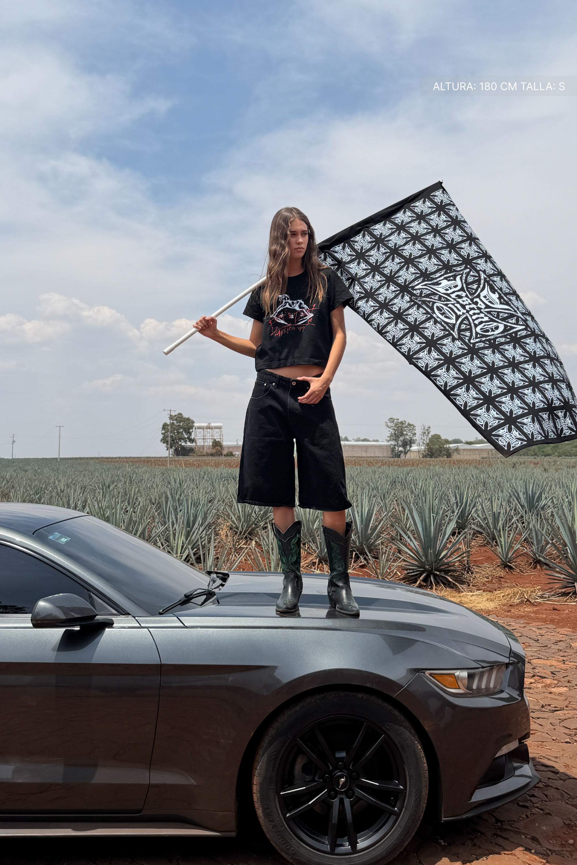 Fate Rodeo Noir Crop Tee Black