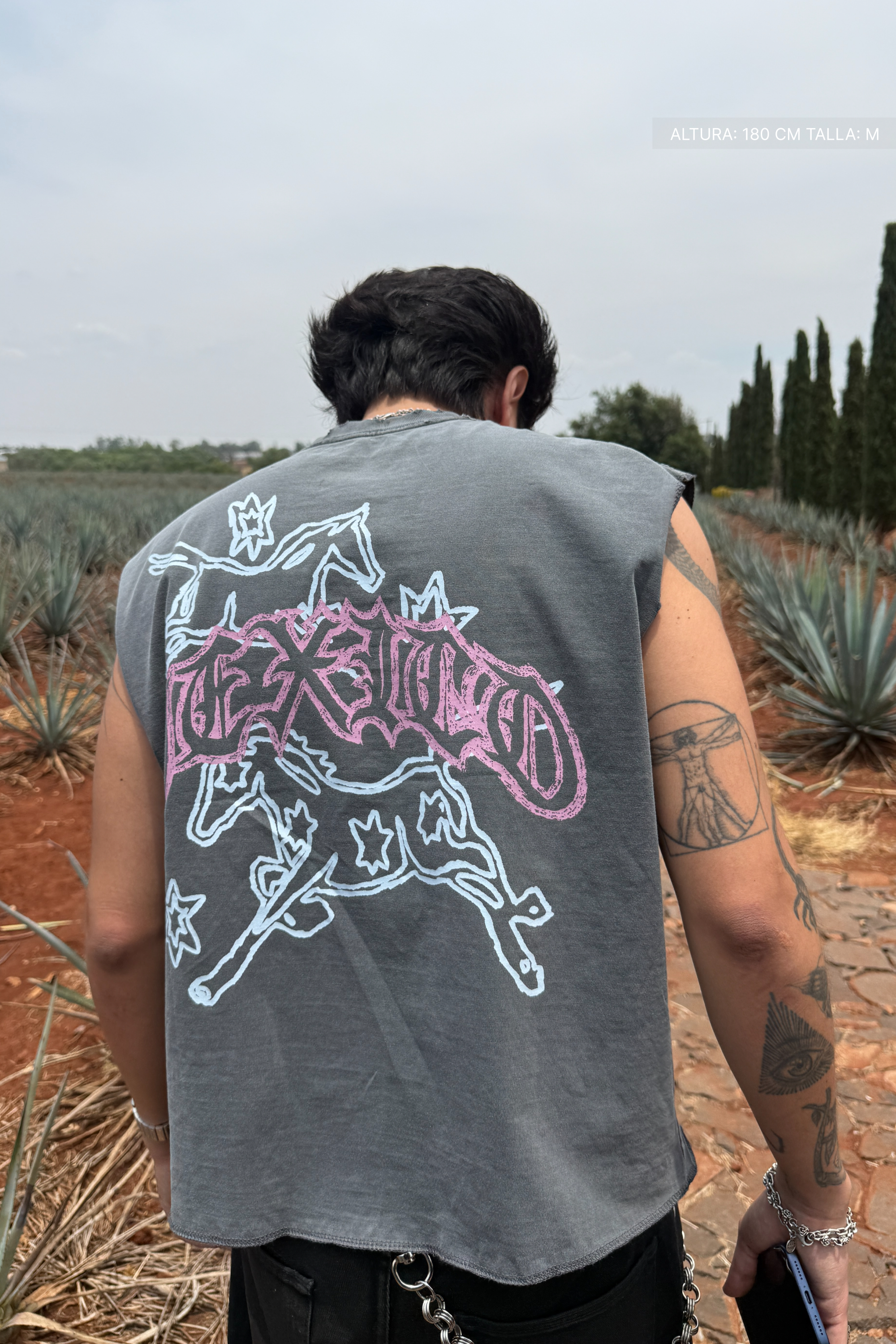 Fate Two Horse Sparks Tank Top Washed Grey