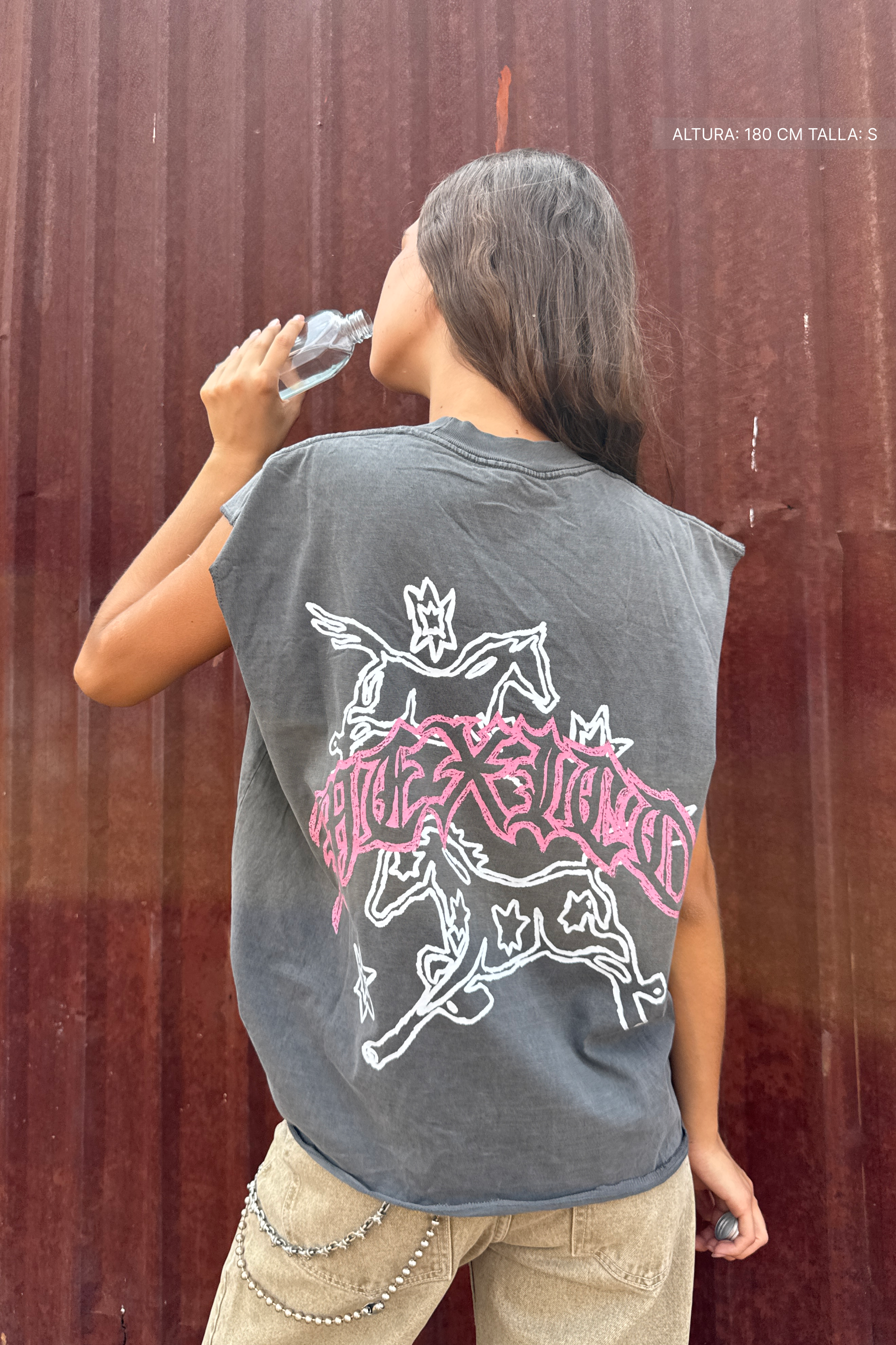 Fate Two Horse Sparks Tank Top Washed Grey