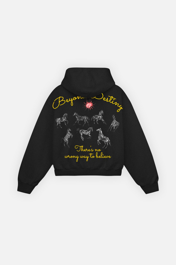 Beyond Destiny Hoodie Vantablack