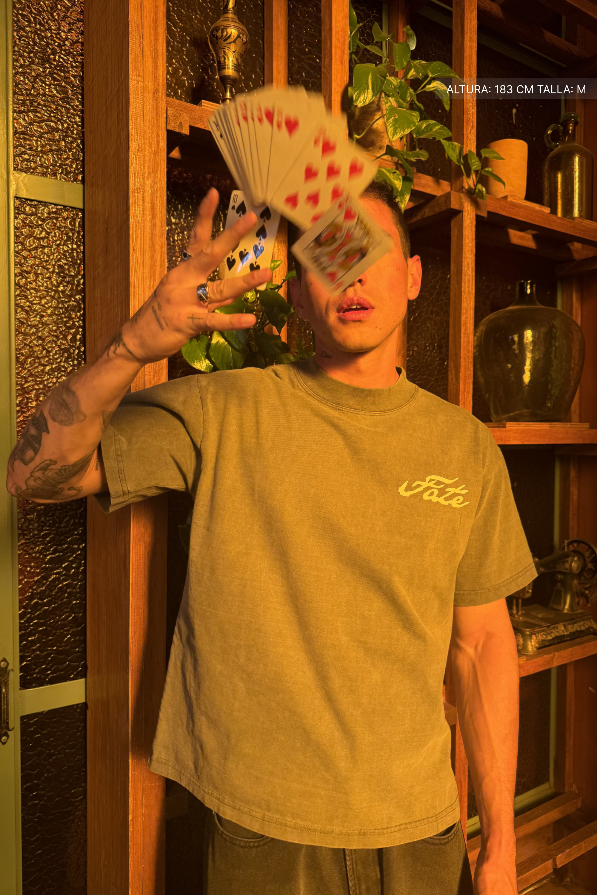 I always Win Tee Washed Grey
