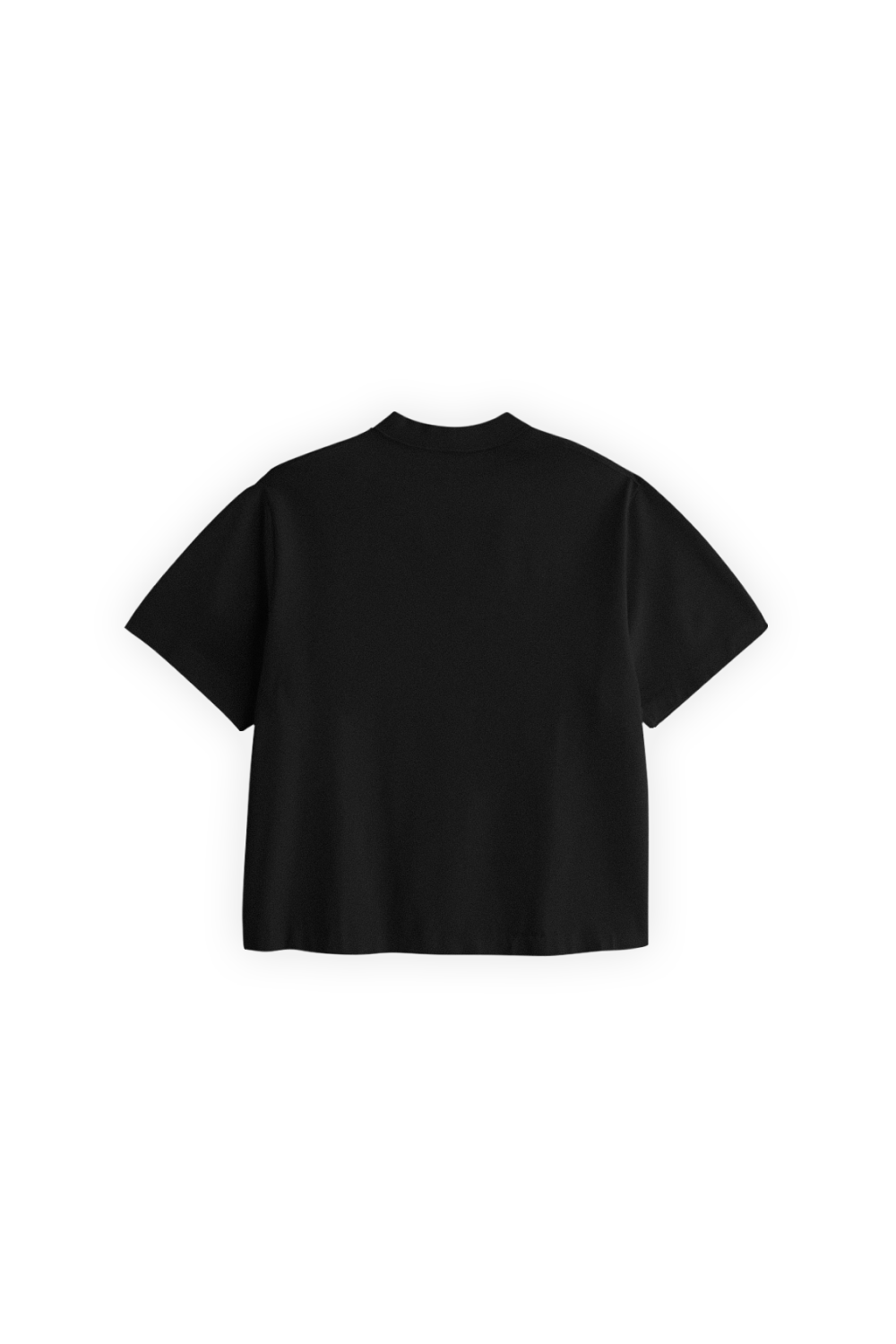 Crop Tee Black 250 GSM